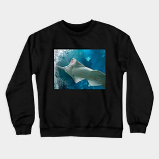 fish, ocean, marine life, ray, shark, stingray- sawfish Crewneck Sweatshirt